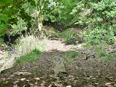 
Pant-yr-eos reservoir tramway incline foot looking up, June 2012