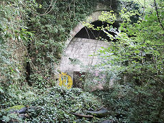 
Monmouth Troy tunnel, July 2021