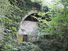 
Monmouth Troy tunnel, July 2021
