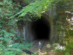 
The Tintern portal of the Tidenham tunnel , August 2005