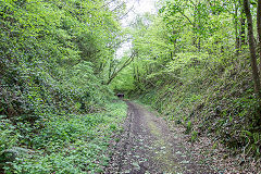 
Wireworks branch trackbed to the junction with the Wye Valley Railway, May 2019