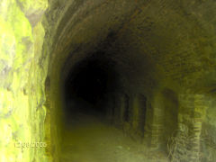 
Tintern tunnel, August 2005