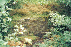 
Graigddu Brickworks, GWR branch, September 2005