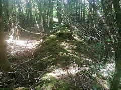
Bank between workings. Unsure if this bank has been built up, or simply remains between two dug out areas, Penpergwm brickworks, Abergavenny, September 2019 © Photo courtesy of Michael Kilner