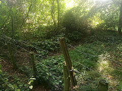 
Signs of a channel leading down from the workings, which may have been a stream or run off at some point. The fence denotes the edge of the garden to Brickworks Cottage, which is private property. Penpergwm brickworks, Abergavenny, September 2019 © Photo courtesy of Michael Kilner