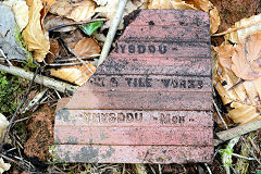 
'Ynysddu Brick & Tile Ynysddu' from Ynysddu Brickworks © Photo courtesy of Steve Davies