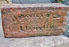 
'D Davies & Co Llanelly' from Machynys 2 brickworks, © Photo courtesy of David Mason