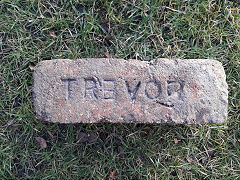 
'Trevor' from Garth Brickworks, © Photo courtesy of Mark Cranston