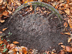 
'RDC YTE? Co', Trehafod, A mystery as it was buried and in poor condition, November 2021