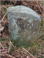 
'E', side 1 of a triangular stone with 'JCH XV' on reverse © Photo courtesy of Lawrence Skuse