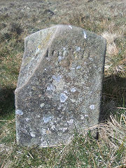 
'Edlogan Abercarn' stone 1 at ST 25646 98022, © Photo courtesy of Robert Kemp
