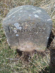 
'Edlogan Abercarn' stone 2 at ST 25702 98063, © Photo courtesy of Robert Kemp