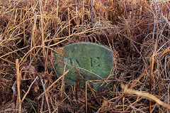 
'W E' initials not known, found near Blaenavon. © Photo courtesy of Stuart Baldwin