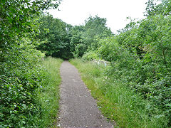 
Trackbed near Ty Rhiw, Barry Railway, Taffs Well, June 2012