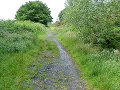 
Level near Ffwrnes Blwm, Taffs Well, June 2012