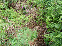 
Rockwood Colliery site, Taffs Well, June 2012