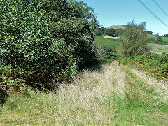 
Glamorganshire Canal, Cefn Glas, September 2012