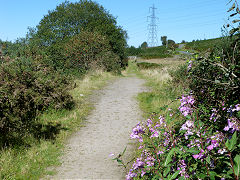 
Original Llancaiach branch trackbed looking North, Abercynon, September 2012