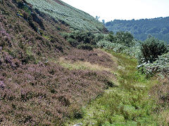 
Original Llancaiach branch trackbed looking South, Abercynon, September 2012