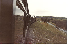 
Brecon Mountain Railway, From the carriage window, May 1985