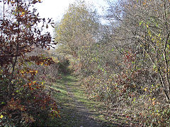 
Hafod Colliery spoil tips tramway at ST 0371 9121, November 2021