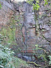 
A small quarry on the Doctors Tramroad at ST 0475 9080, November 2021