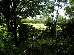 
Reynalton, view from bridge looking South, Saundersfoot, September 2008