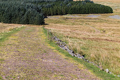 
The original Brecon Forest Tramroad loop crosses from right to left, October 2016