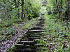 
Bryn Eglwys, Allt Wyllt incline, October 2024