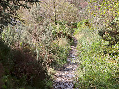 
Bryn Eglwys, Beudynewydd incline, October 2024