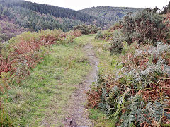 
Bryn Eglwys, Beudynewydd track to Nant Gwernol, October 2024