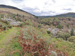 
Bryn Eglwys, Beudynewydd tips, October 2024