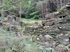 
Bryn Eglwys, 'Frondeg', Cantrybedd incline, October 2024