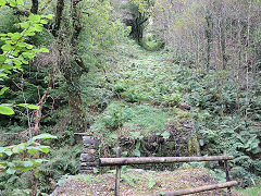 
Bryn Eglwys, Cantrybedd Incline, October 2024