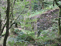 
Bryn Eglwys, Cantrybedd Incline, October 2024