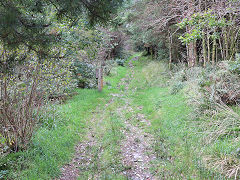 
Bryn Eglwys, Cwmcwm Incline, October 2024