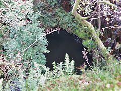 
Bryn Eglwys, Broad Vein pit, October 2024