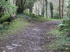 
Bryn Eglwys, Galltymoelfre tramway, October 2024