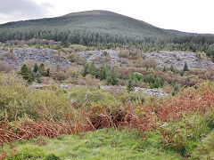 
Bryn Eglwys, 'New Mill' tips, October 2024