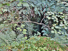 
Dolgoch trial level 1 quarry or shaft, October 2024