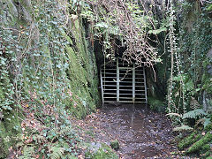 
Dolgoch trial level 2, October 2024