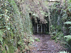 
Dolgoch trial level 2, October 2024