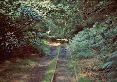 
Abergynolwen to Nant Gwernol, Talyllyn Railway, August 1969