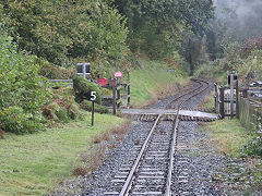 
Along the Line, Vale of Rheidol Railway, October 2024