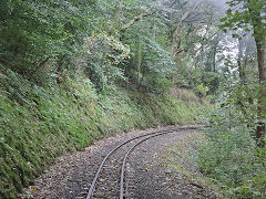 
Along the Line, Vale of Rheidol Railway, October 2024