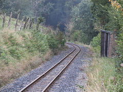 
Along the Line, Vale of Rheidol Railway, October 2024