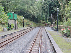 
Along the Line, Vale of Rheidol Railway, October 2024