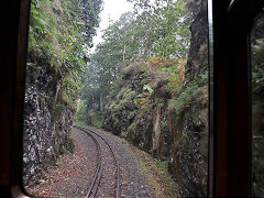 
Along the Line, Vale of Rheidol Railway, October 2024