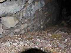 
Flue to the right of the footpath, St Cuthberts, August 2024