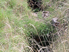 
Flue exit pit, St Cuthberts, August 2024